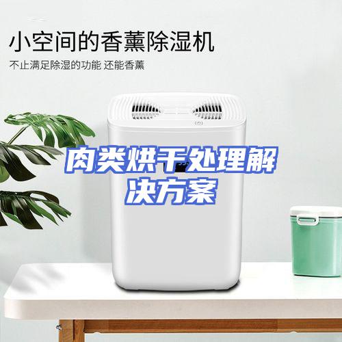 肉类烘干处理解决方案