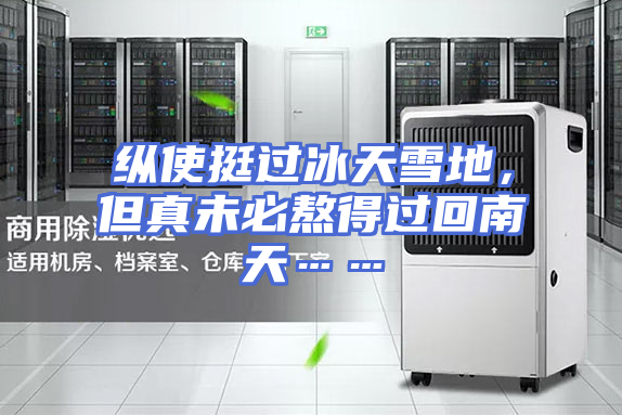 纵使挺过冰天雪地,但真未必熬得过回南天……