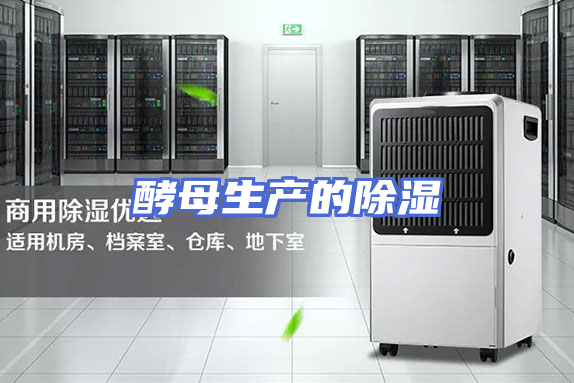 酵母生产的除湿