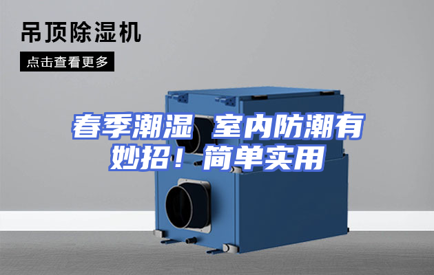春季潮湿 室内防潮有妙招！简单实用