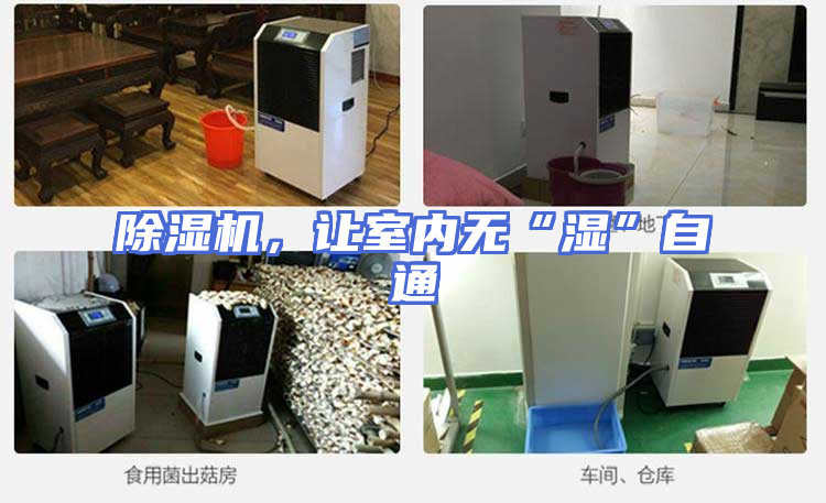 除湿机，让室内无“湿”自通