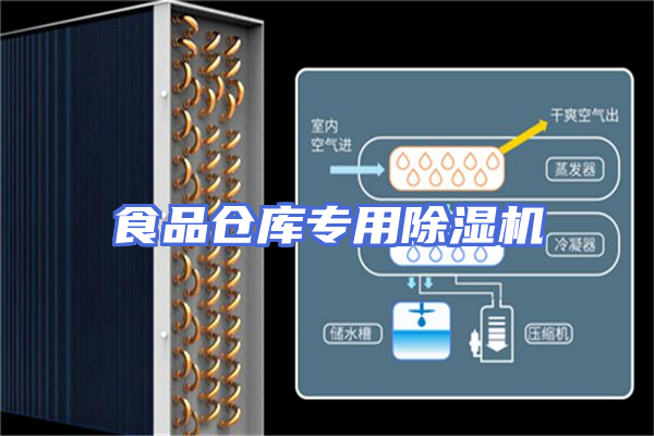 食品仓库专用除湿机