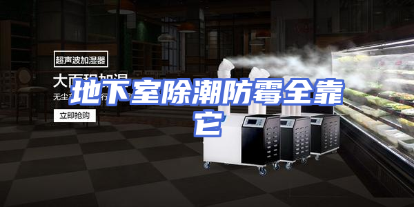 地下室除潮防霉全靠它