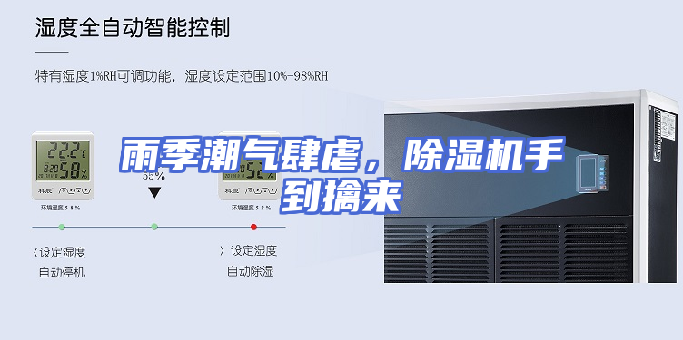 雨季潮气肆虐，除湿机手到擒来