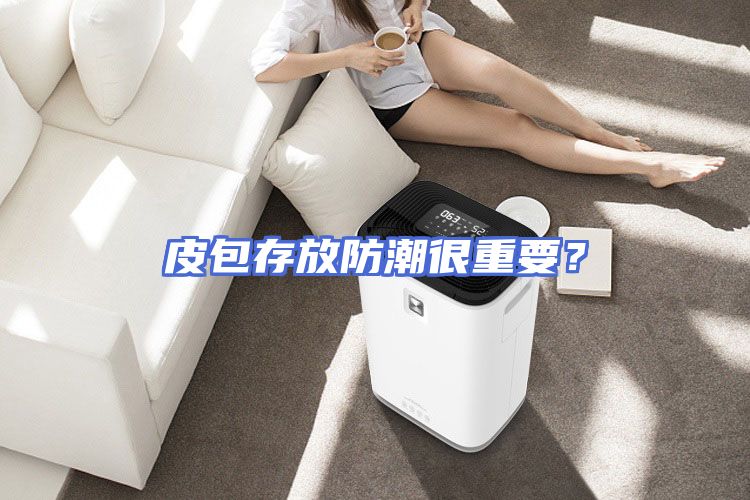 皮包存放防潮很重要？