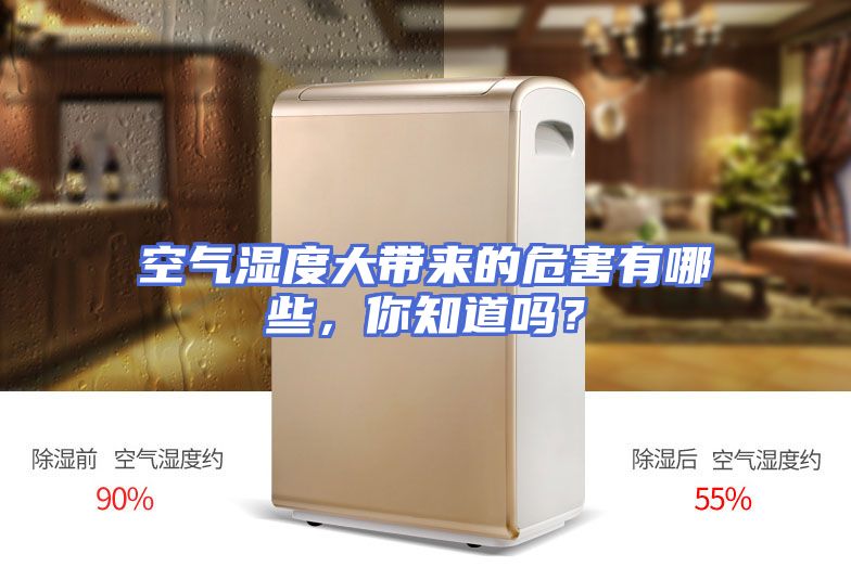 空气湿度大带来的危害有哪些，你知道吗？