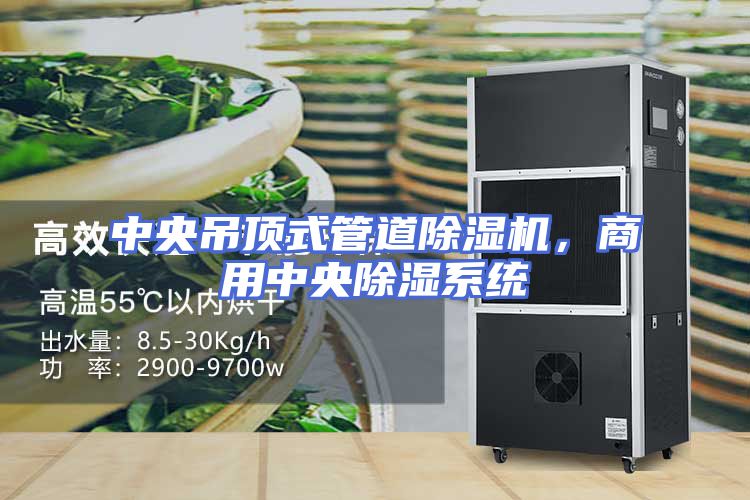 中央吊顶式管道除湿机，商用中央除湿系统