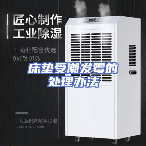 床垫受潮发霉的处理办法