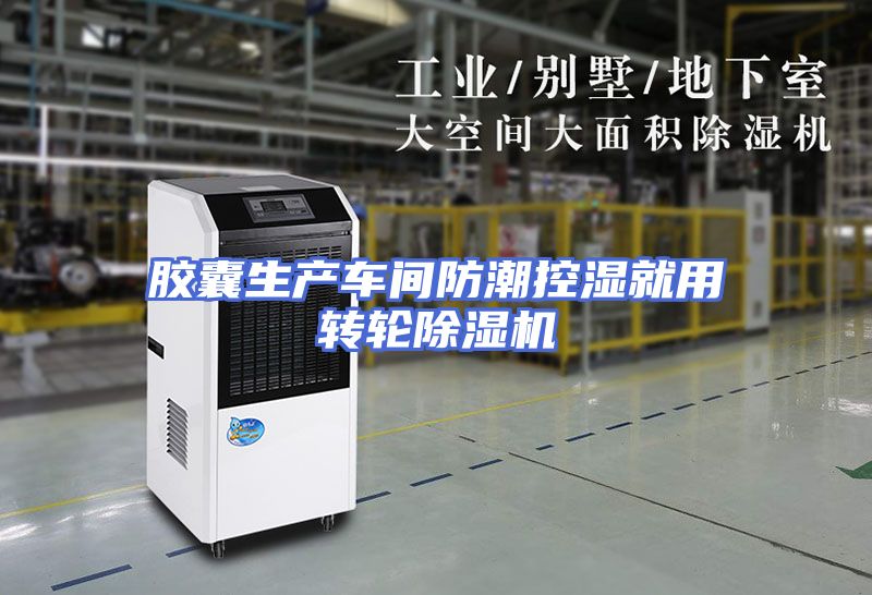 胶囊生产车间防潮控湿就用转轮除湿机