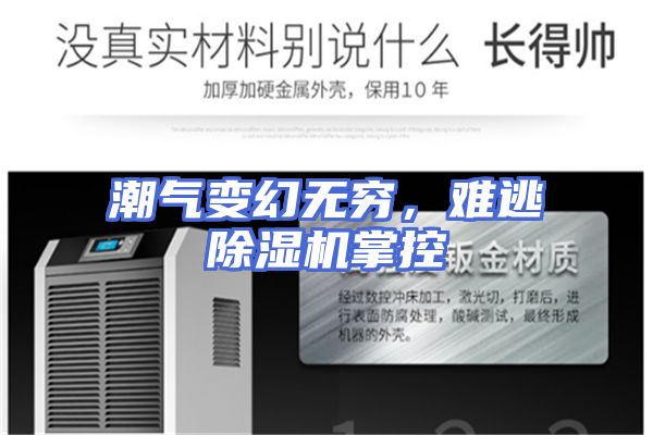 潮气变幻无穷，难逃除湿机掌控