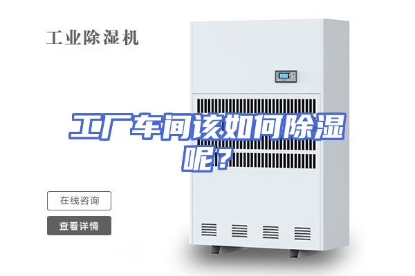 工厂车间该如何除湿呢？