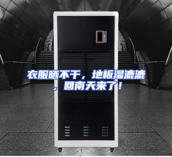 衣服晒不干，地板湿漉漉，回南天来了！