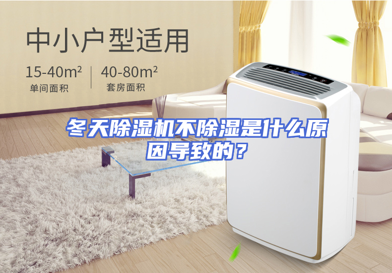 冬天除湿机不除湿是什么原因导致的？