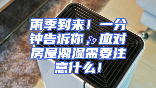 雨季到来！一分钟告诉你，应对房屋潮湿需要注意什么！