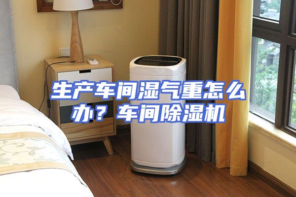 生产车间湿气重怎么办？车间除湿机
