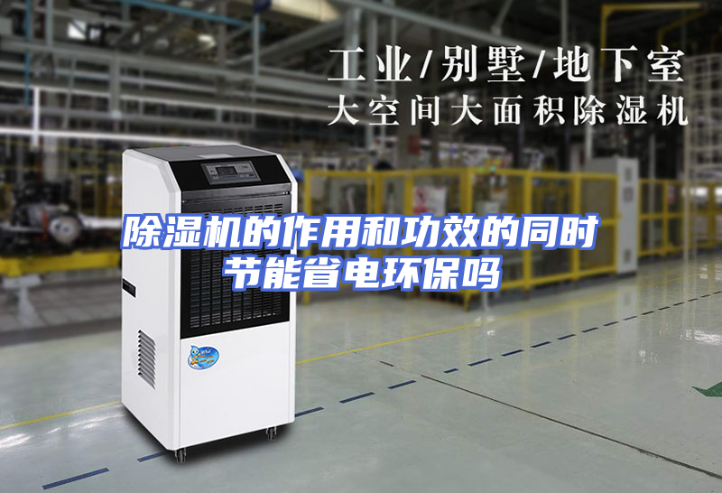 除湿机的作用和功效的同时节能省电环保吗
