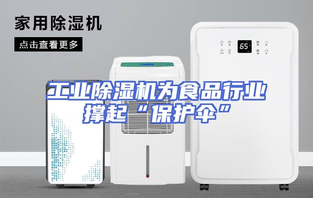 工业除湿机为食品行业撑起“保护伞”