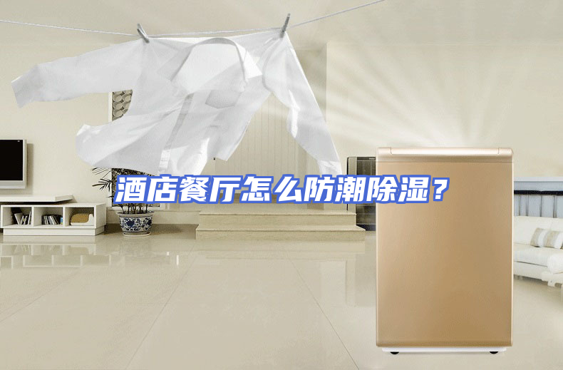 酒店餐厅怎么防潮除湿？