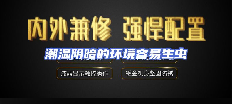 潮湿阴暗的环境容易生虫