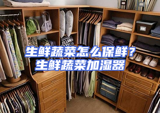 生鲜蔬菜怎么保鲜？生鲜蔬菜加湿器