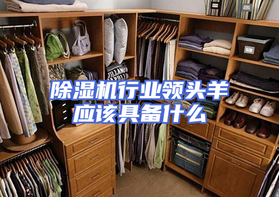除湿机行业领头羊应该具备什么