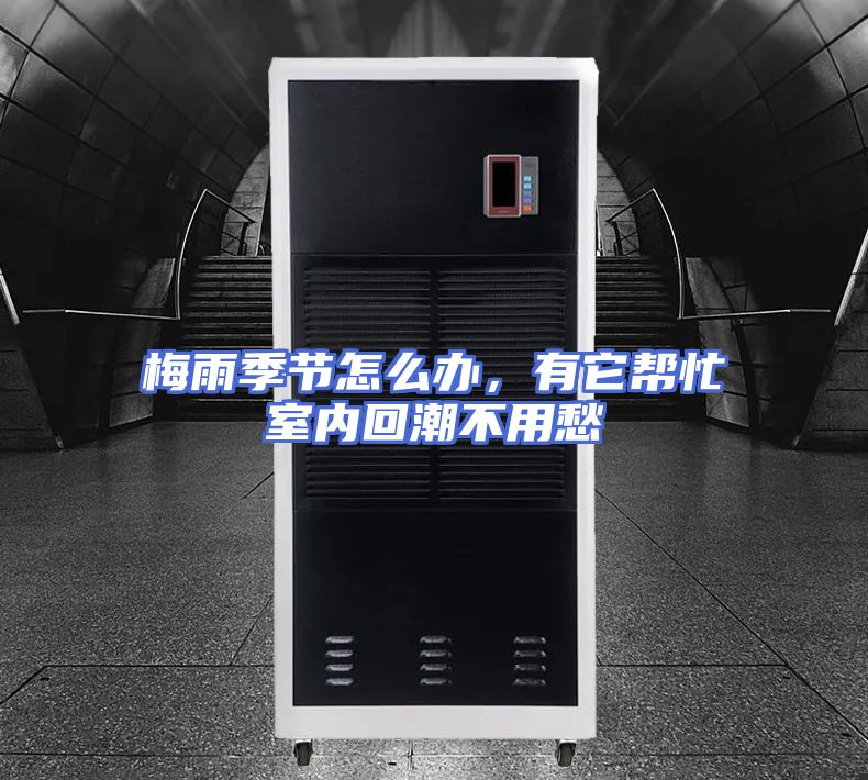 梅雨季节怎么办，有它帮忙室内回潮不用愁
