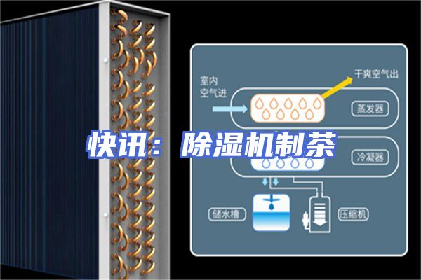 快讯：除湿机制茶