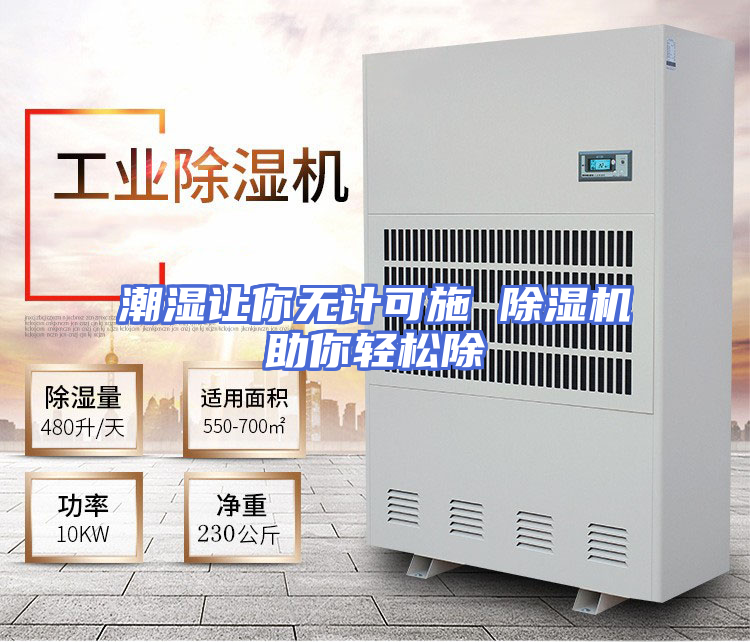 潮湿让你无计可施 除湿机助你轻松除