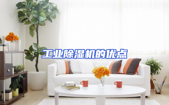 工业除湿机的优点