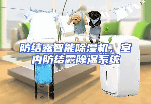 防结露智能除湿机，室内防结露除湿系统
