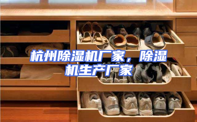 杭州除湿机厂家，除湿机生产厂家