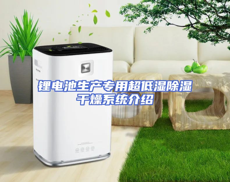 锂电池生产专用超低湿除湿干燥系统介绍