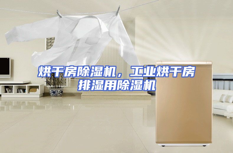 烘干房除湿机，工业烘干房排湿用除湿机