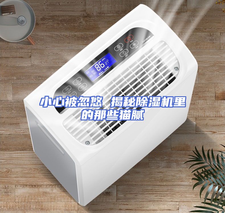 小心被忽悠 揭秘除湿机里的那些猫腻