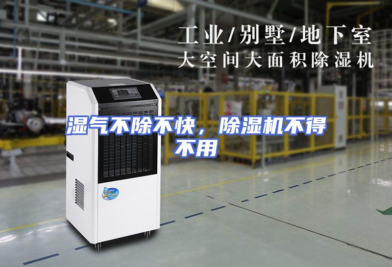 湿气不除不快，除湿机不得不用