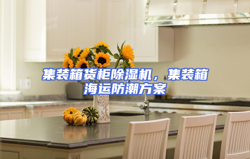 集装箱货柜除湿机，集装箱海运防潮方案