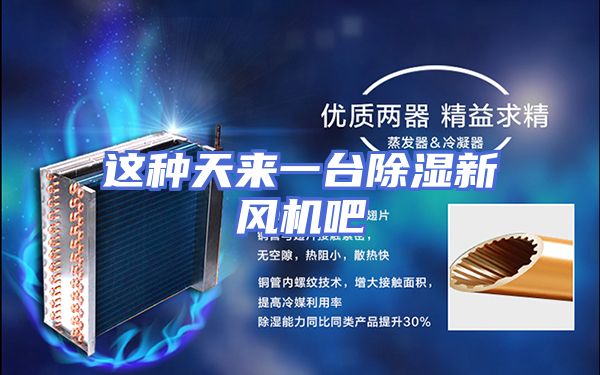 这种天来一台除湿新风机吧