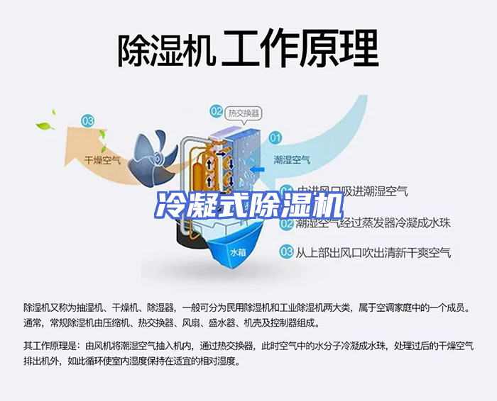 冷凝式除湿机