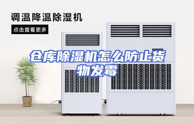 仓库除湿机怎么防止货物发霉