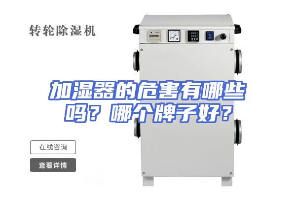 加湿器的危害有哪些吗？哪个牌子好？