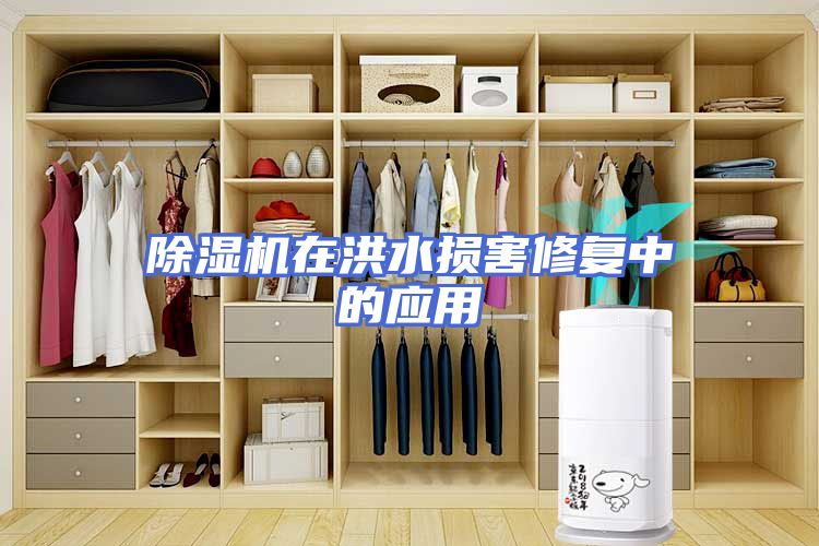 除湿机在洪水损害修复中的应用