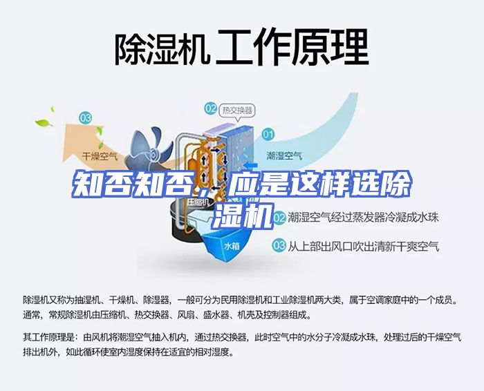 知否知否，应是这样选除湿机