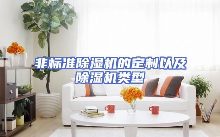 非标准除湿机的定制以及除湿机类型