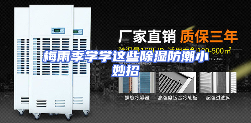 梅雨季学学这些除湿防潮小妙招