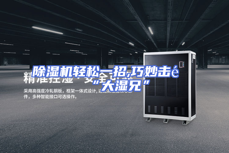 除湿机轻松一招,巧妙击退“大湿兄”
