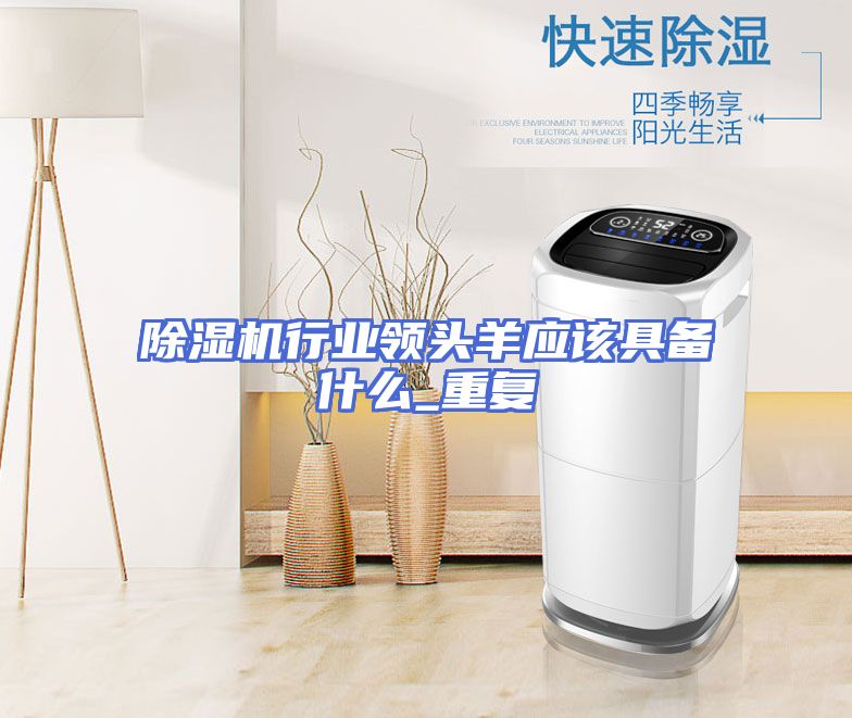 除湿机行业领头羊应该具备什么_重复