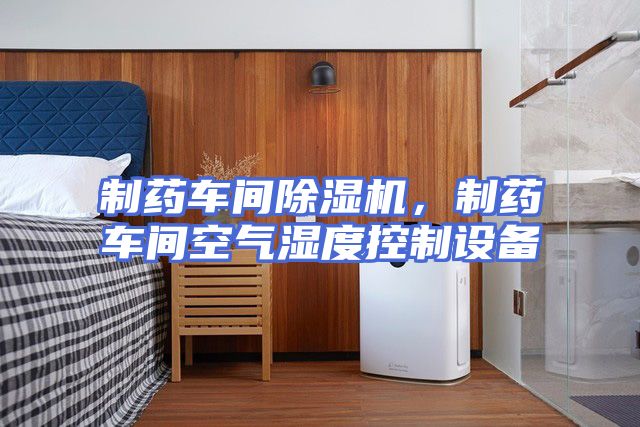 制药车间除湿机,制药车间空气湿度控制设备