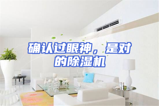 确认过眼神，是对的除湿机