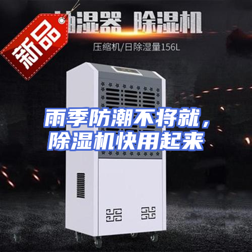 雨季防潮不将就，除湿机快用起来