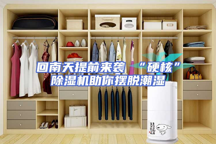 回南天提前来袭 “硬核”除湿机助你摆脱潮湿